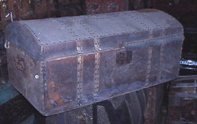 Hide covered trunk