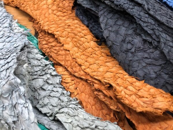 Tanned Carp Skins - IT'S FISH LEATHER in Many Different Colors