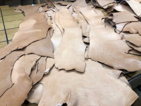 Vegetable Tanned Tooling Leather Bellies in 9-10 oz thickness Available Singly or in Quantities of 3 or 10