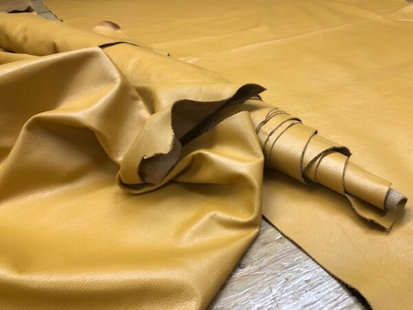 Large USA Cattlehide Sides in Gold; A Soft Garment Leather Used for Lettermen's Jackets