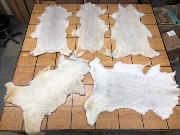 Hair On Sheep Hides, aka Shearling or cropped sheep hides, soft and furry