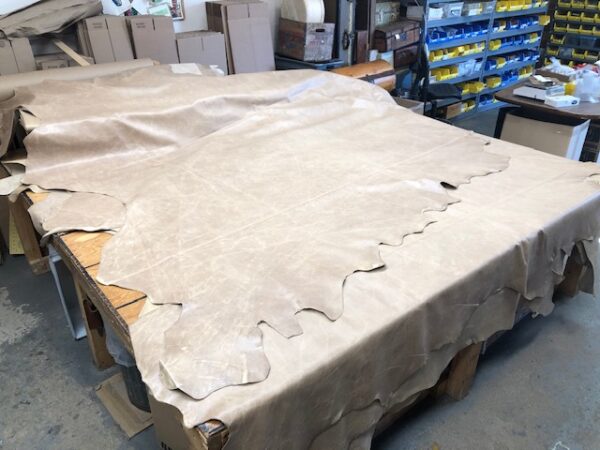 Very Large Chromium Tanned Leather Full Hides in Oatmeal Color over 60 Square Feet Each