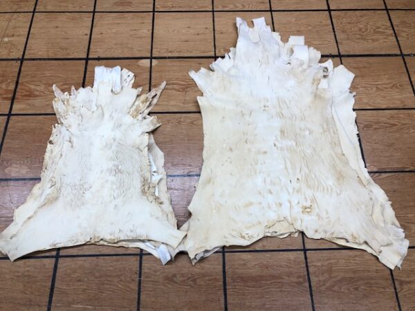 Vegetable Tanned and FELTED Goat Hides, Large or Small Size Available