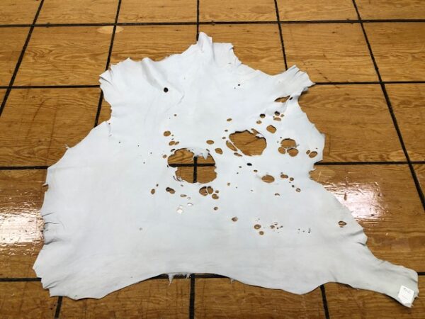 Leather Hide Clearance Sale Item 346 One Very Sad Little Off-White Sheep Skin; Holey Sheep
