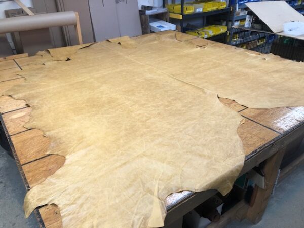 Whole Hides of USA Cattlehide Leather in Semolina Light Tan