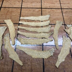 Golden Yellow Grass Carp Skins - Leather That Doesn't Smell Fishy