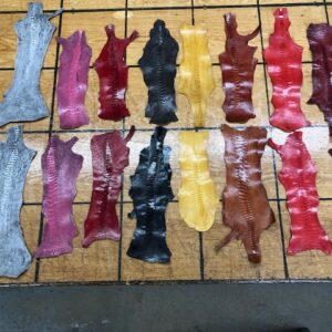 ostrich leg leather in many colors with free USA shipping