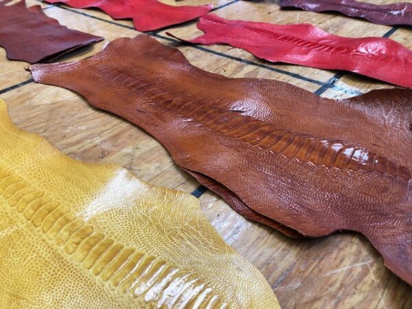 ostrich leg leather in many colors with free USA shipping